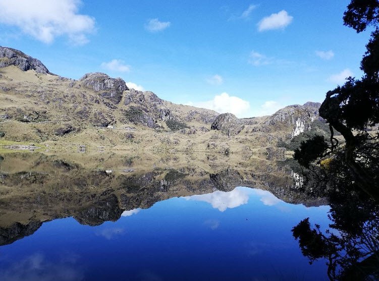 El Cajas National Park, Azuay Province, near Cuenca, Ecuador